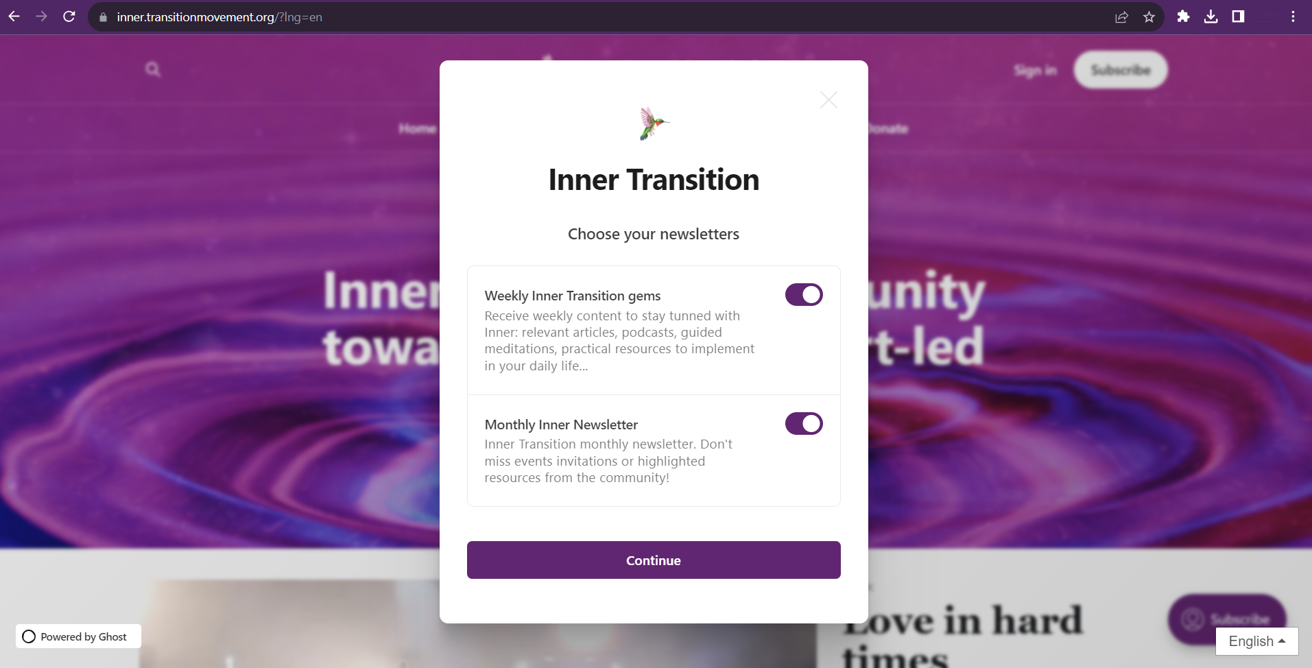 Newsletter options screenshot