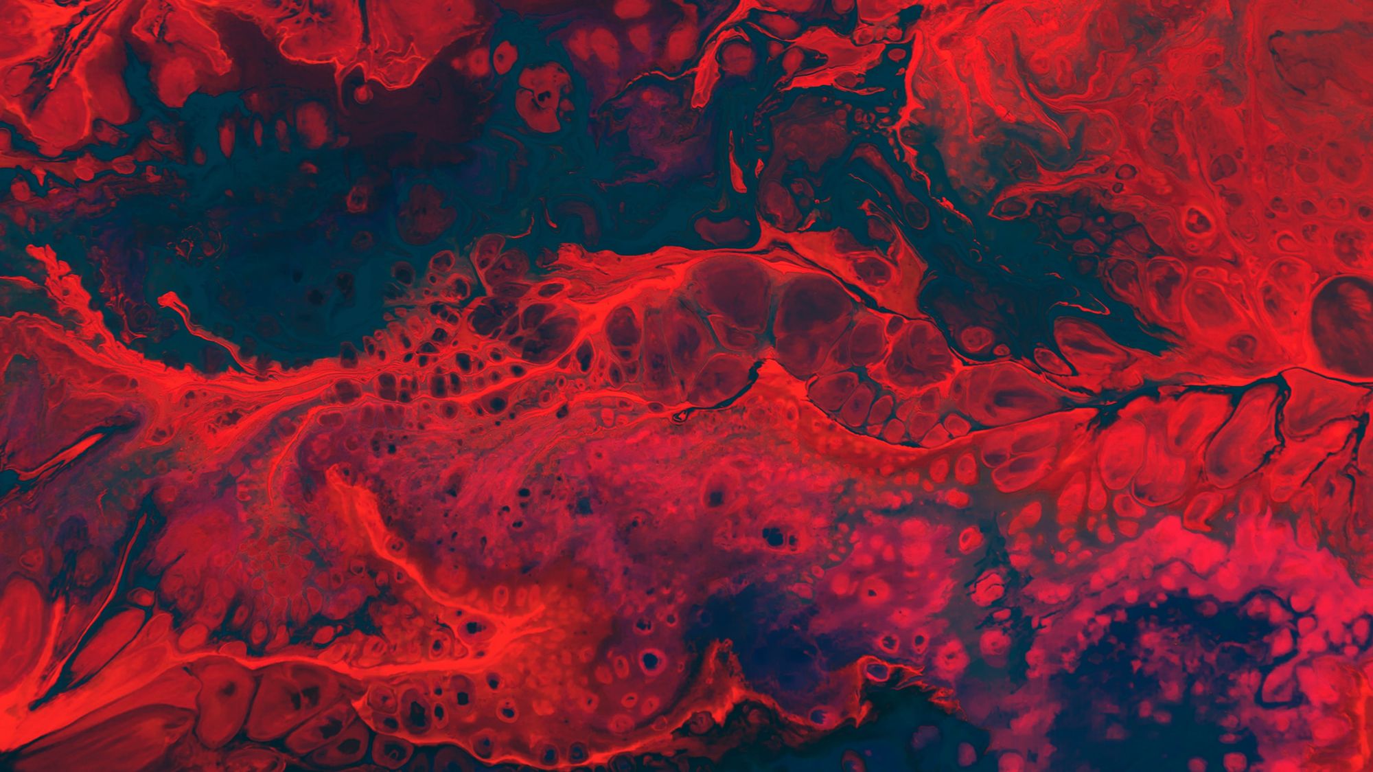 Abstract fluid painting in red and black